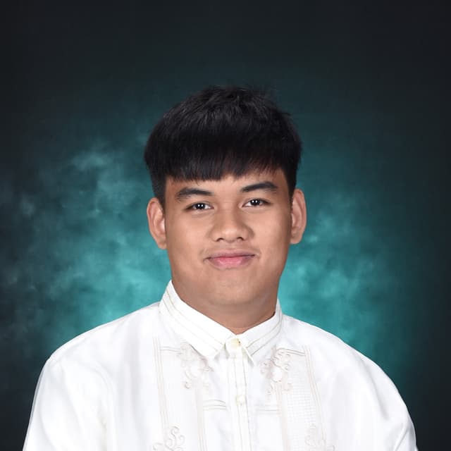 Aries Dimailig, Full-Stack Developer